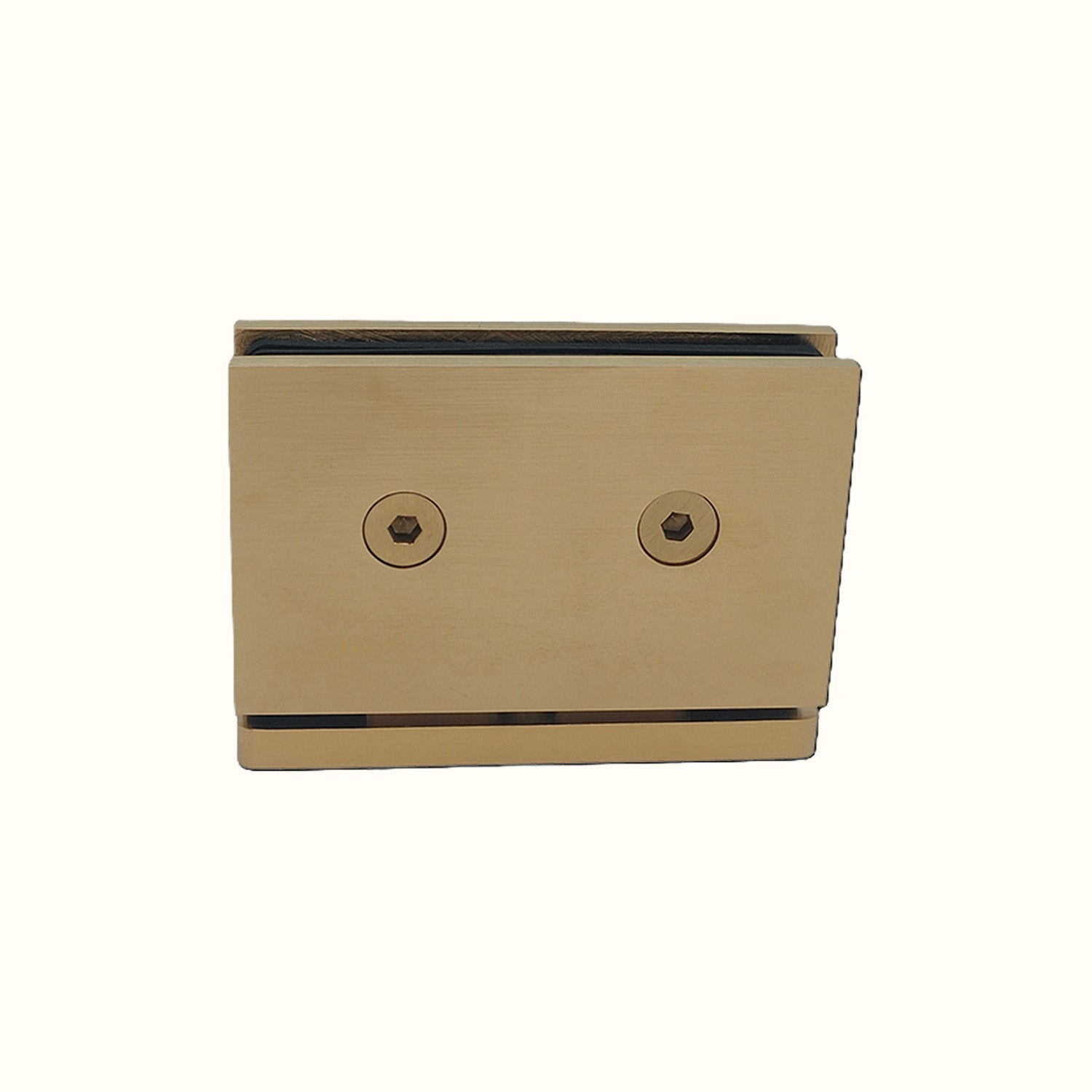 Pivot hinges for shower and pantry